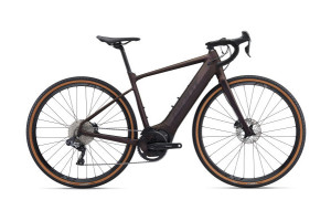 Bild zu Giant Revolt E+  S