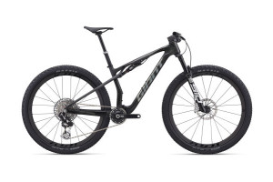 Bild zu Giant Anthem Adv. SL 0 Raw Carbon M
