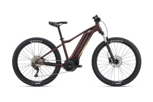 Bild zu Giant Tempt E+ 1 | V1 S