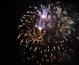 silvester
